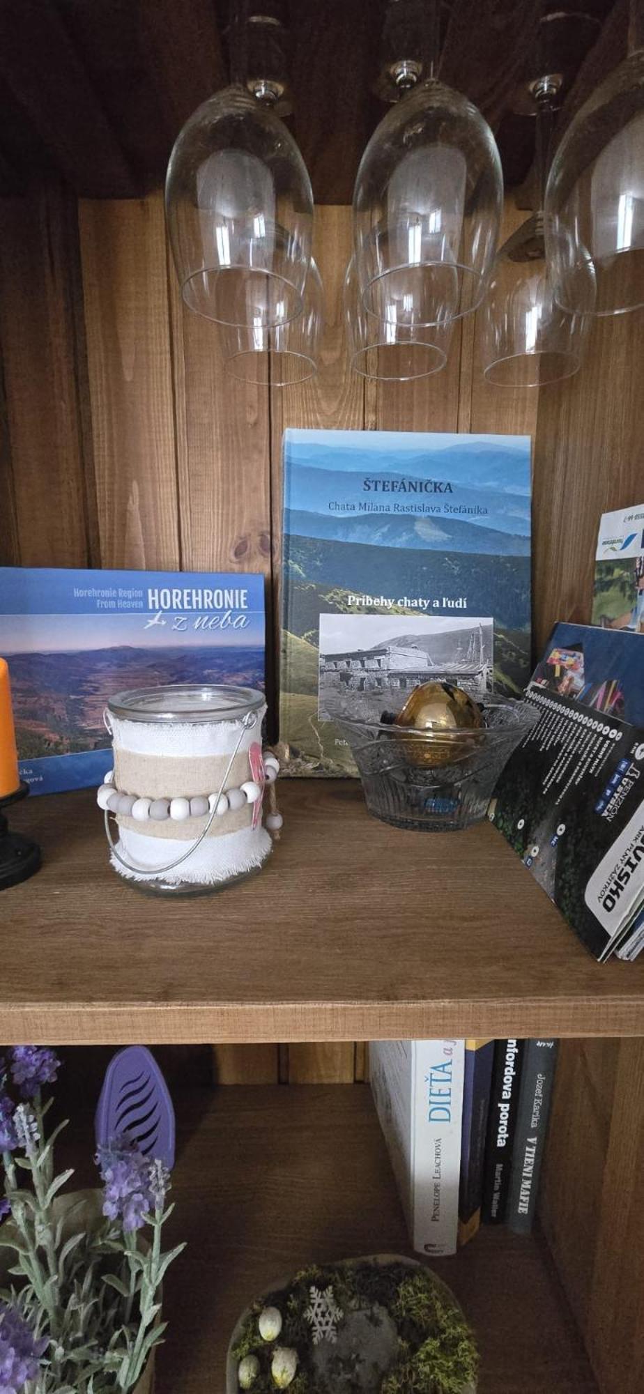 Dom Bystra Pod Chopkom & Wellness Buitenkant foto
